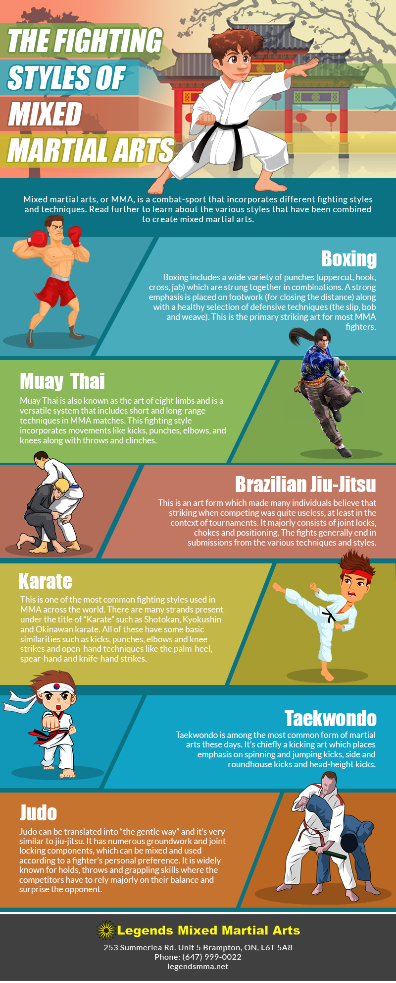 THE FIGHTING STYLES OF MIXED MARTIAL ARTS