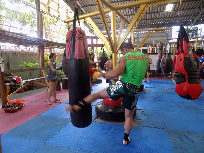 Beginner’s Way to the Invincible World of MMA