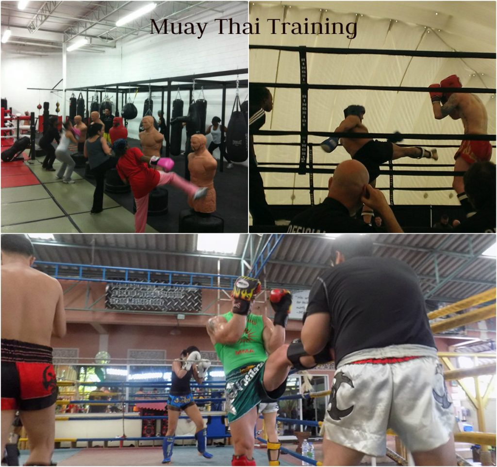 Muay Thai Training