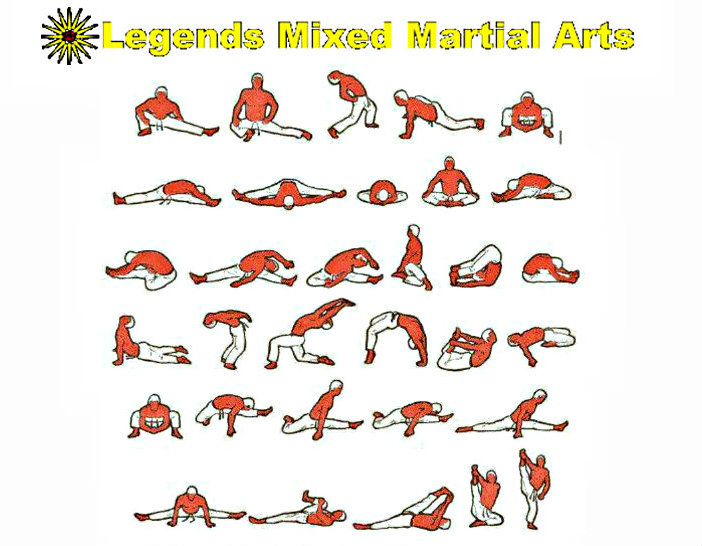 martial arts training for mind body connection