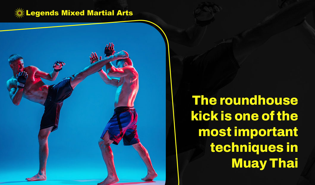 roundhouse kick techniques