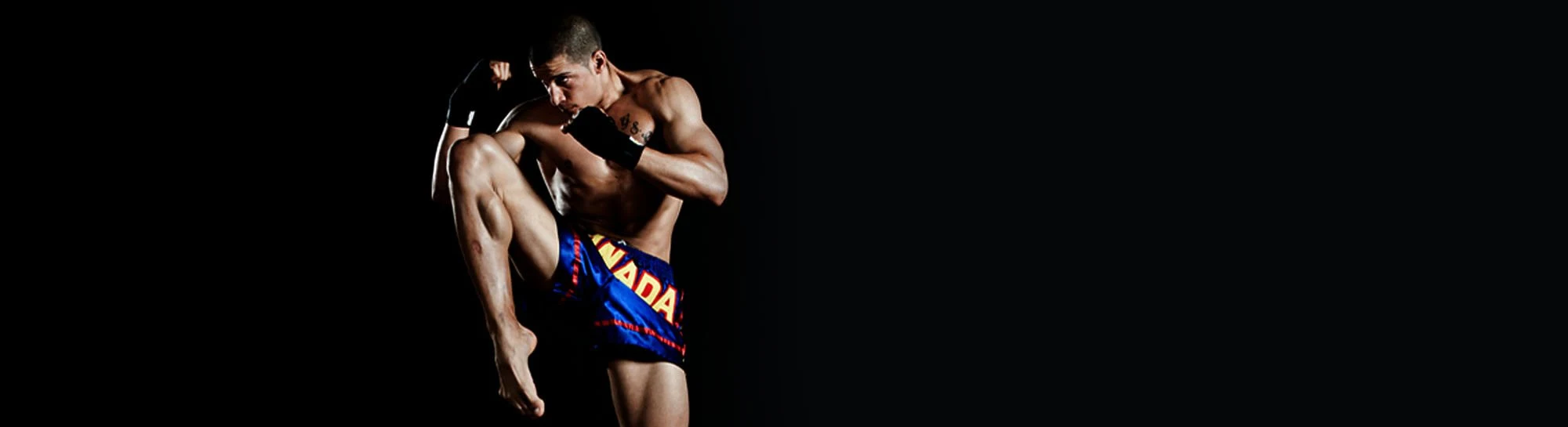 main_banner2
