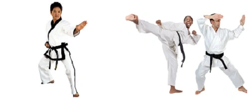 Difference between Traditional Karate and Sport Karate