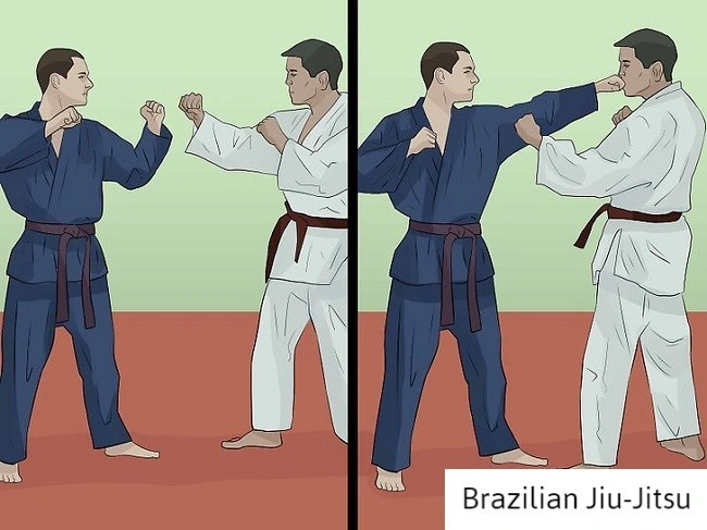 brazilian-jiu-jitsu