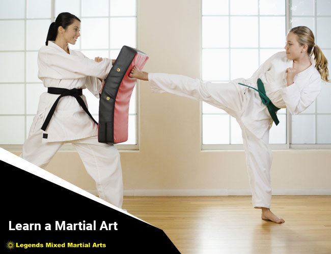 Learn-a-Martial-Art