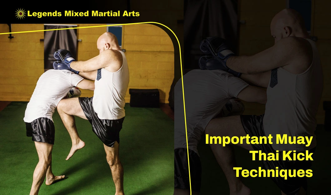 Important Muay Thai Kick Techniques