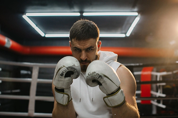 Boxer
